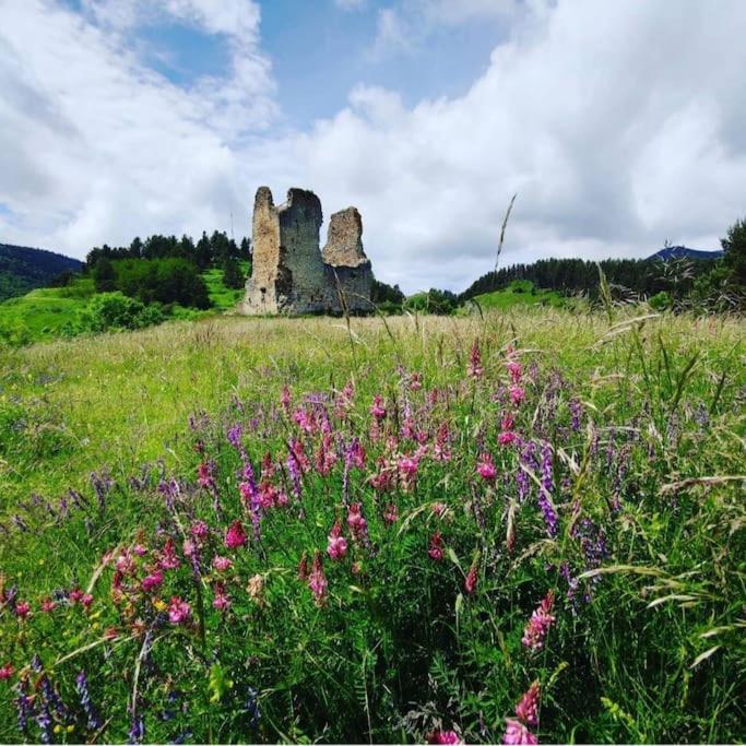 Gite L'Enclos O Rendez-Vous Roquefeuil-Pays De Sault- Avec Jardin Kültér fotó