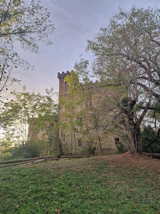 Gite L'Enclos O Rendez-Vous Roquefeuil-Pays De Sault- Avec Jardin Kültér fotó