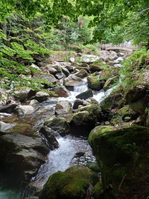 Gite L'Enclos O Rendez-Vous Roquefeuil-Pays De Sault- Avec Jardin Kültér fotó