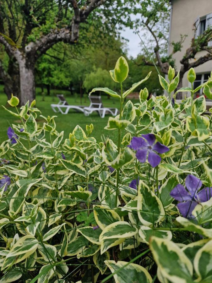 Gite L'Enclos O Rendez-Vous Roquefeuil-Pays De Sault- Avec Jardin Kültér fotó